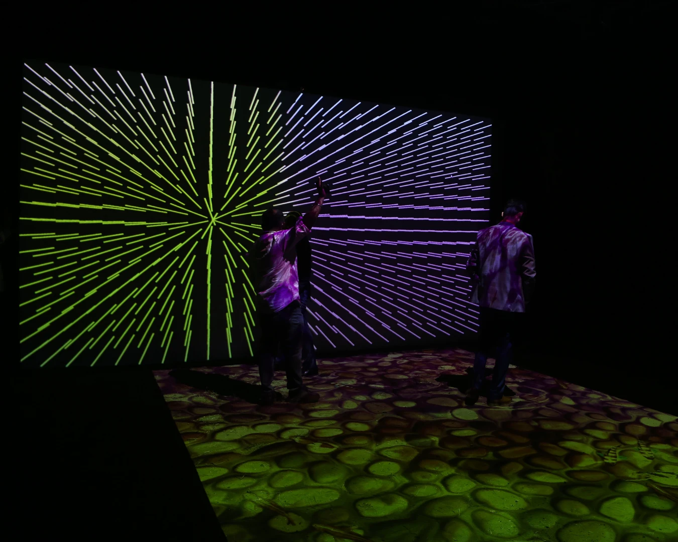 light-first-3_912404218_3